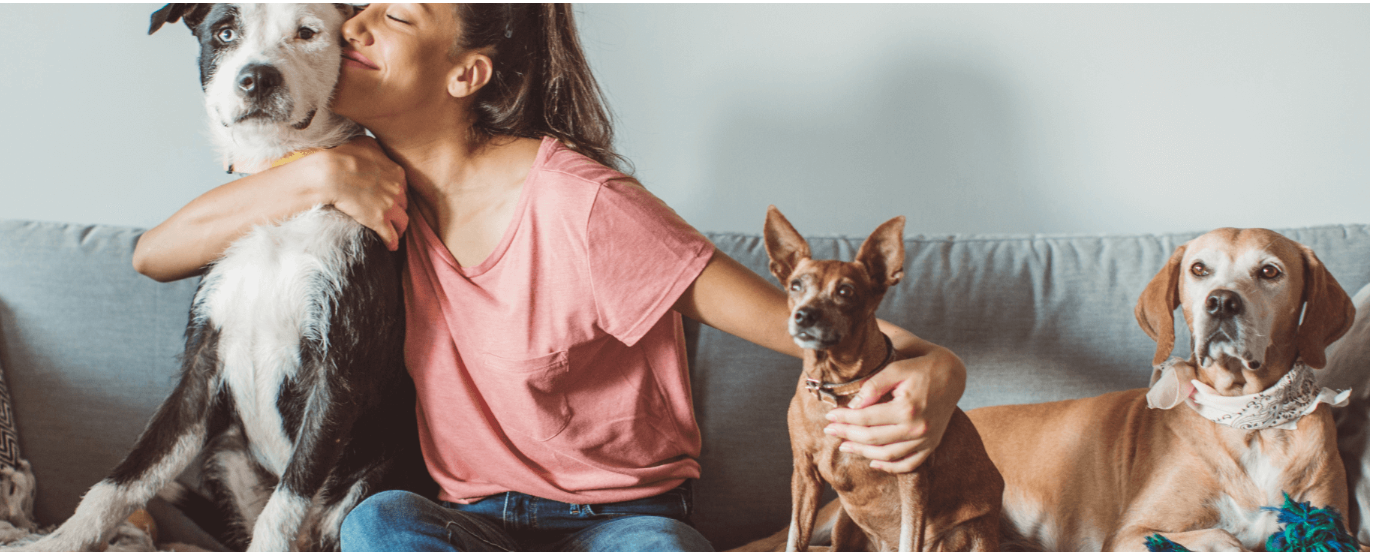 Pet Home