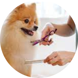 Pet grooming