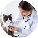 Veterinary services
